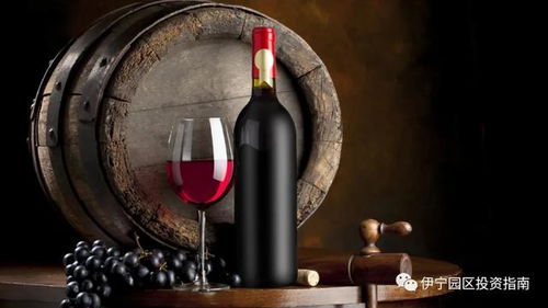 第三彈 伊寧園區(qū)四大類農(nóng)副產(chǎn)品精深加工項目揭牌推介