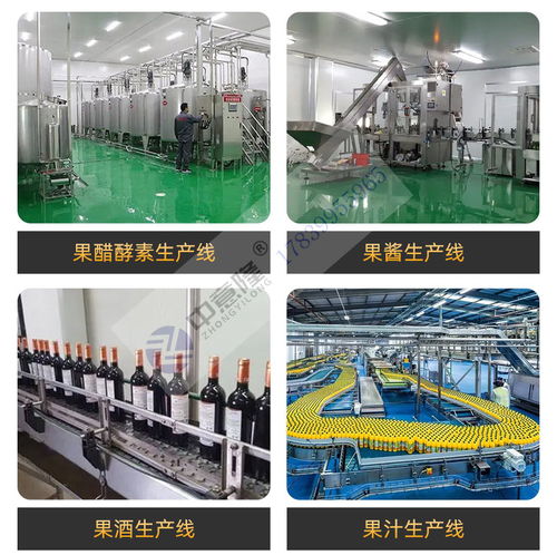 350玻璃瓶石榴酒果酒釀酒設(shè)備 年產(chǎn)50噸小型紅酒生產(chǎn)線廠家