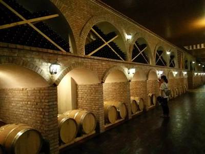 【暑期實踐】漫漫絲綢路&middot;醇醇寧夏紅