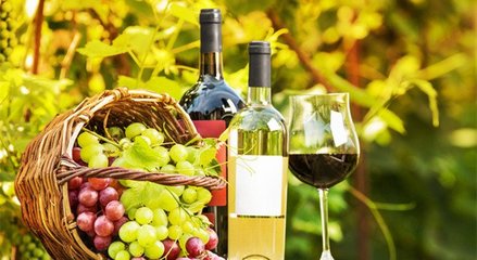 藍菲葡萄酒學院丨終于搞清楚有機葡萄酒、生物動力法葡萄酒了!